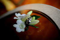 wed 267 tran